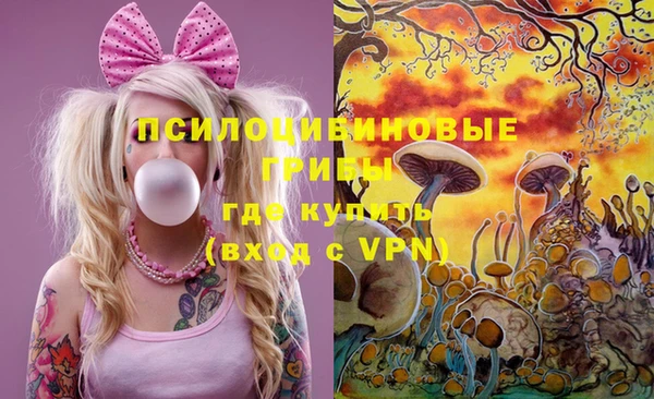 ешки Арсеньев