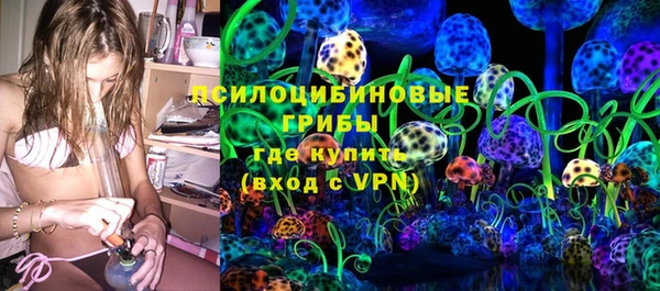 ПСИЛОЦИБИНОВЫЕ ГРИБЫ Армянск